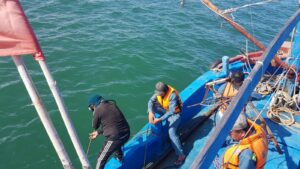 80a002559b6f6e31377e