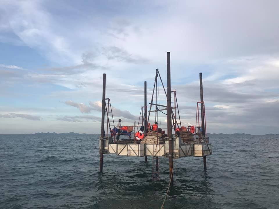 56157974 1058245997696872 2686579464728477696 N