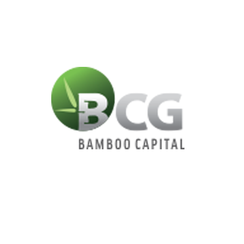 Trang chủ 25 Logo Bcg